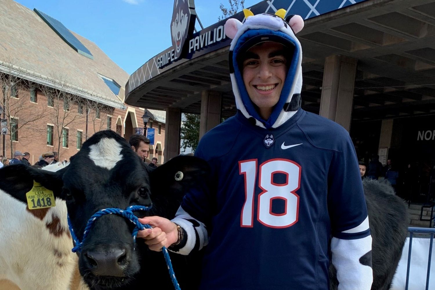 Student with cow outside of Gampel Pavillion Student with cow outside of Gampel Pavillion
