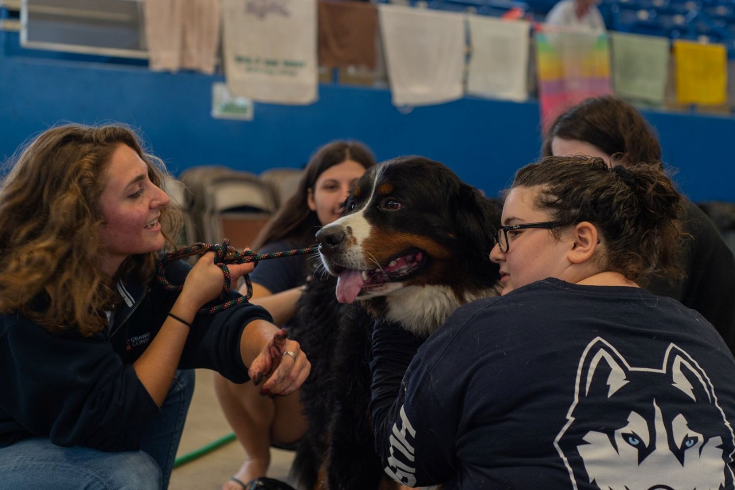 Students cuddling dog Students cuddling dog