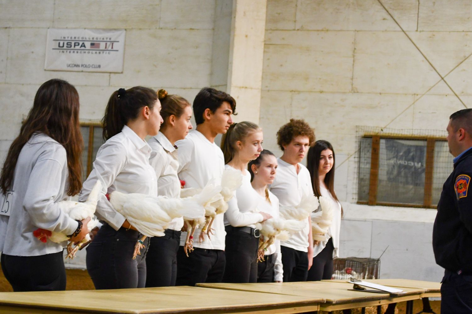 Students holding up chickens for judging competition in arena Students holding up chickens for judging competition in arena